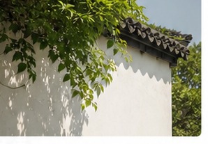 夏日院墙上落着树叶光影